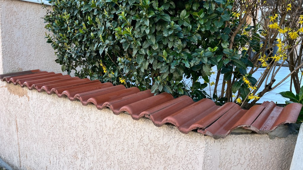 Pose de tuiles sur muret