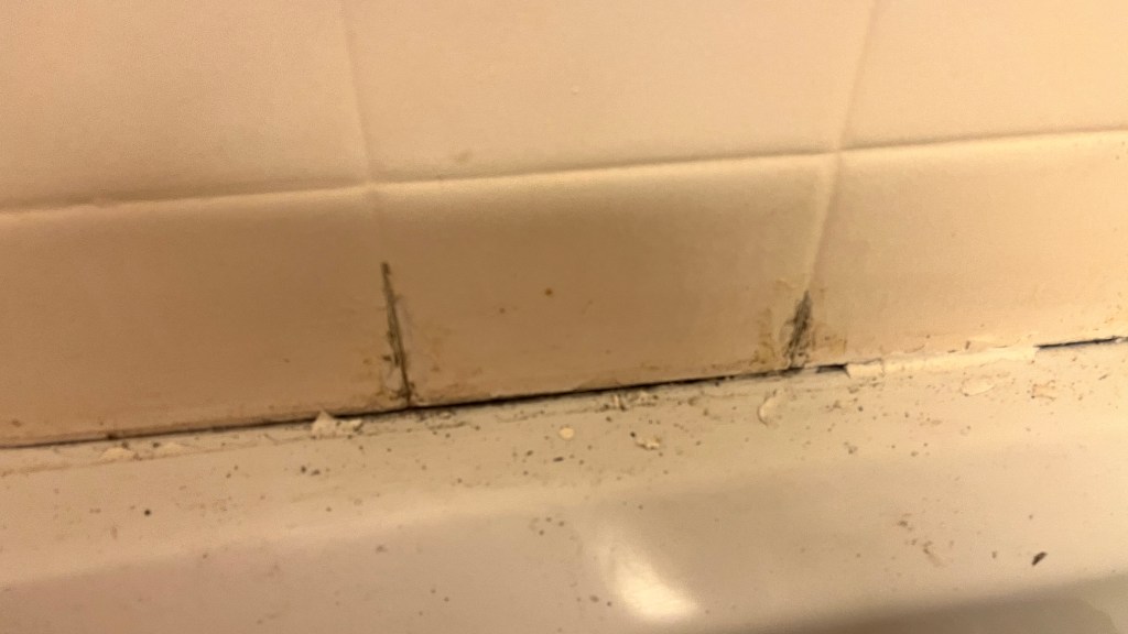 joints de carreaux de baignoire pourris ou disjoints salle de bain
