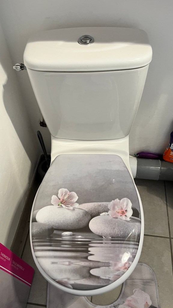 Pose d'une nouvelle lunette de WC