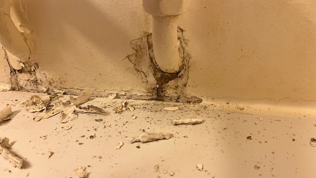 joints de robinets de baignoire moisis salle de bain