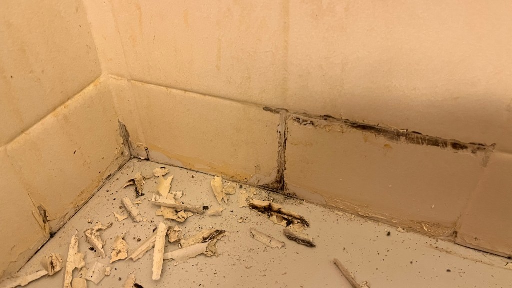 joints de carreaux pourris ou disjoints baignoire salle de bain