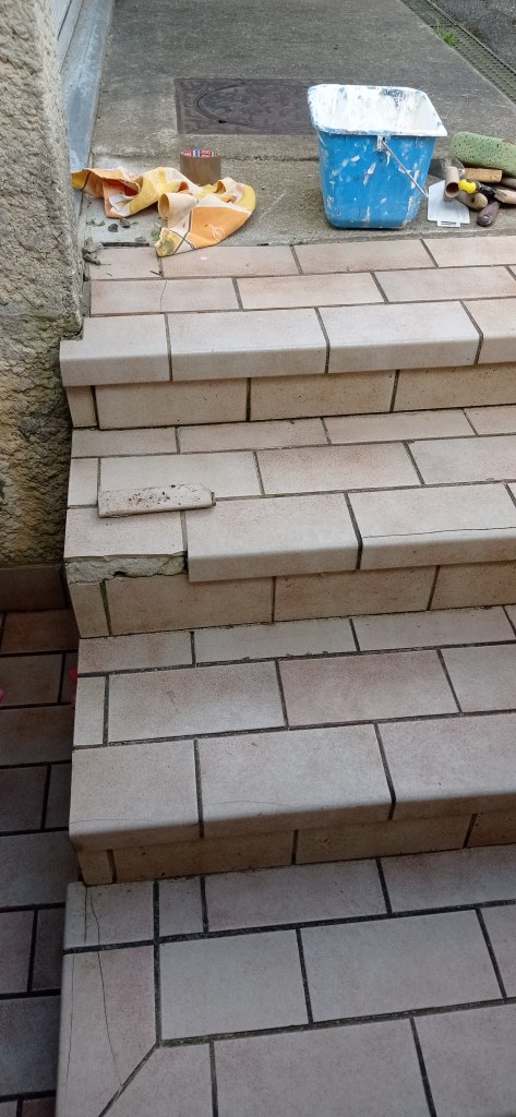 escalier nez de marche et carreaux casses par le gel